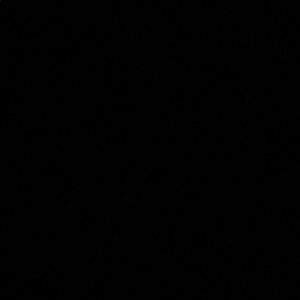 Meet your Posher, Kenny